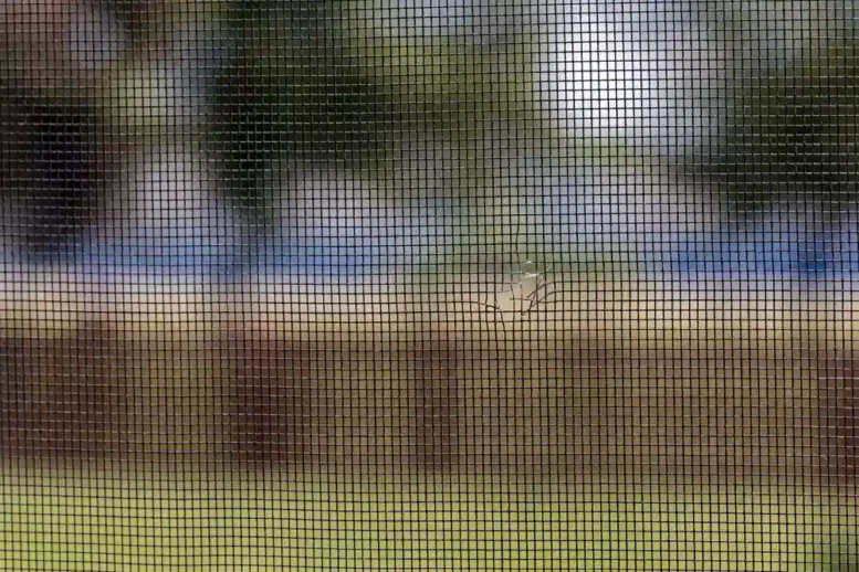 Inspect and Repair Window Screens
