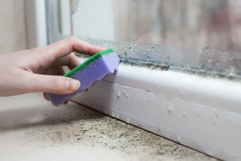 Prevent Moisture Build-Up